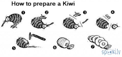 kiwi.jpg